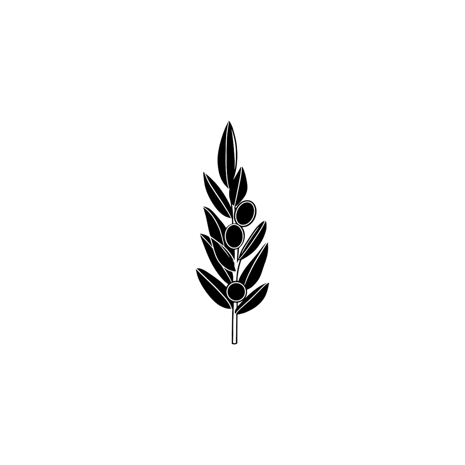 olive-branch-symbol